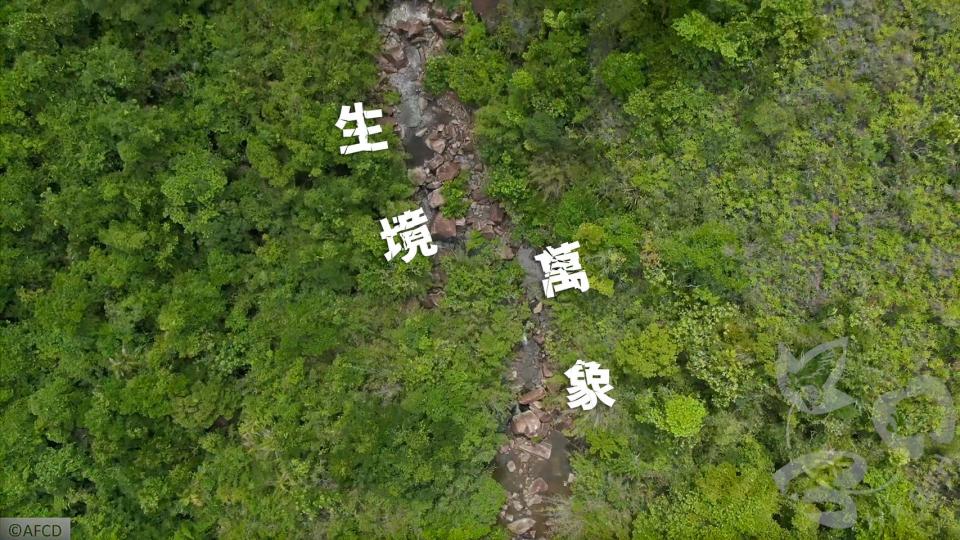 喺上山下海嗰陣，你會留意到美麗嘅景色、富饒嘅物種，定係多元嘅生境呢？...