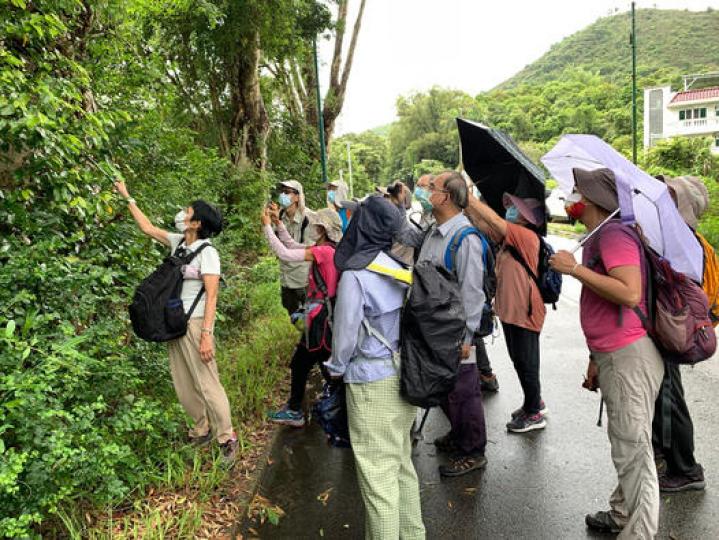 生生不息 樂活自然 -  本土植物生態遊蹤...