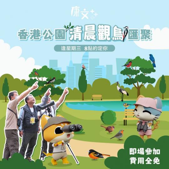 朝早8點 你會做啲咩......