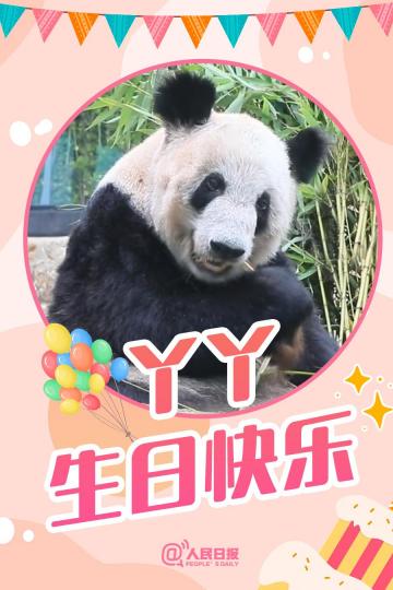 大熊貓丫丫的23歲生日.......