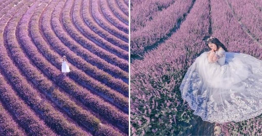 宛如南法的浪漫場景.....