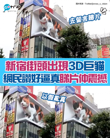最近東京新宿站東口外面，出現咗一隻巨型貓...