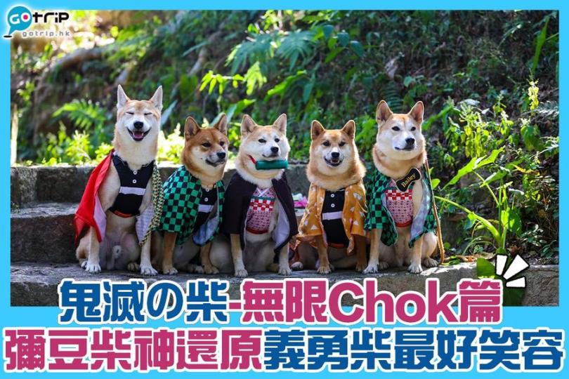 Cute到心都溶埋......