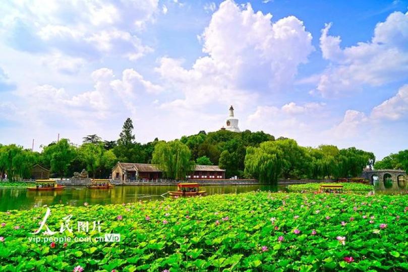 北京：北海公園夏日賞荷......