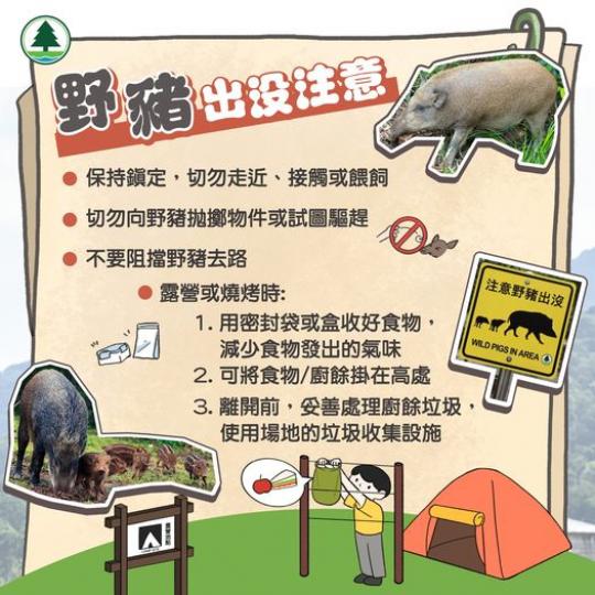 野豬出沒注意.........