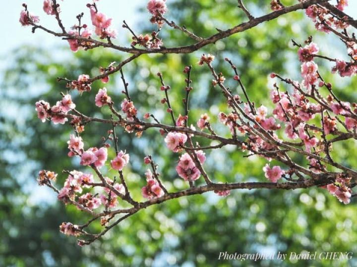大欖郊野公園荃錦管理站 ......