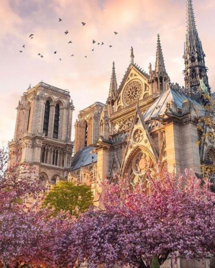 巴黎聖母院是一座絕美的哥特式建築...