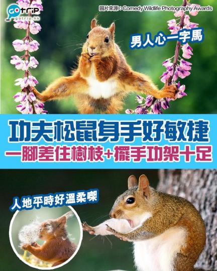 每年都可以見到好多攝影師嘅搞鬼作品...