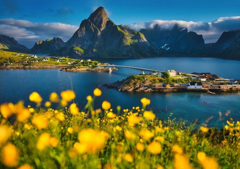 【挪威羅弗敦群島（Lofoten）】圖／黃色花朵點綴著遠處的白雲、高山、湖泊，盡顯北歐小鎮風情（視覺中國）...