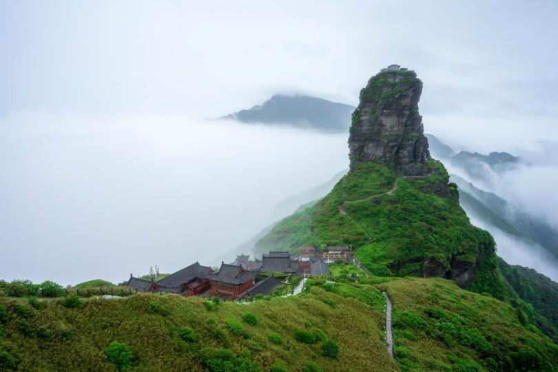 春意正濃，正是上山「博大霧」的日子...