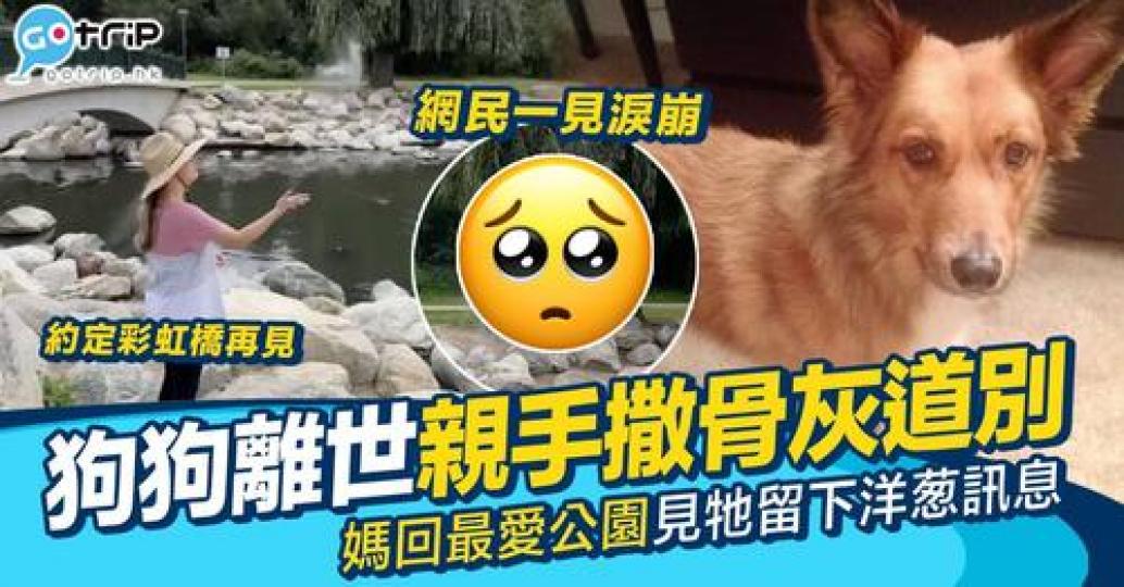將愛犬火化後嘅骨灰灑喺佢生前最愛嘅公園到...
