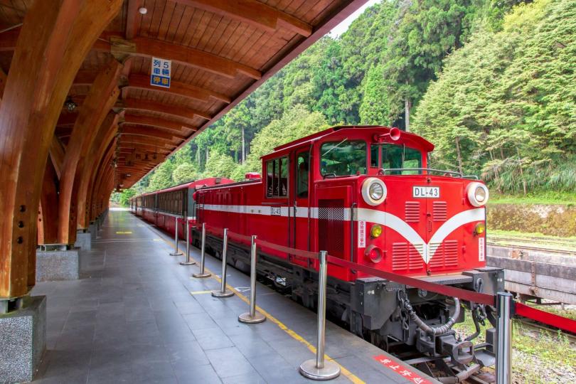 來到阿里山，除了朝聖神木群外，一定要搭乘「小火車」...