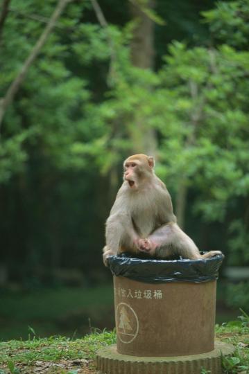 近日香港天氣炎熱、持續高溫。...