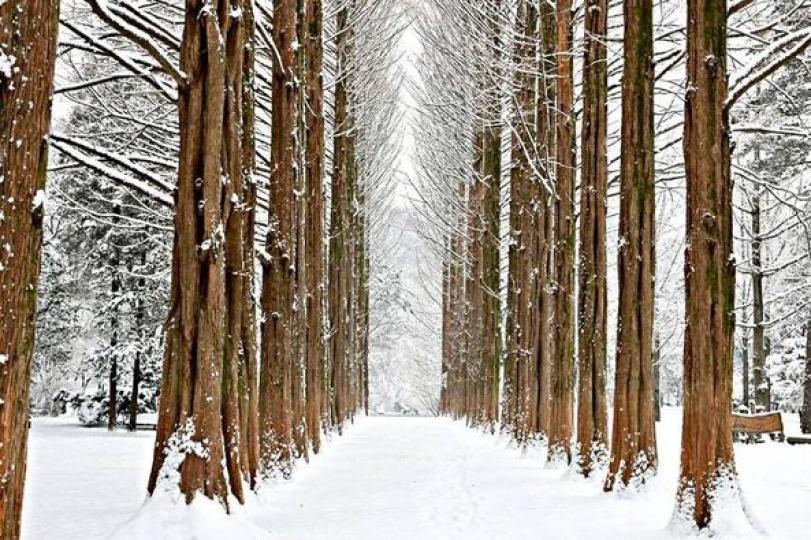 韓國 賞初雪韓國 賞初雪...