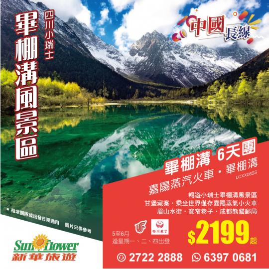 坐在古老蒸汽火車
🚂穿越花海...