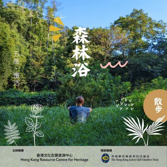 森林浴🌳︰五感慢活.......
