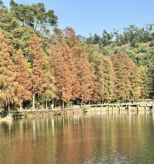 仙湖植物園 仙湖植物園.......