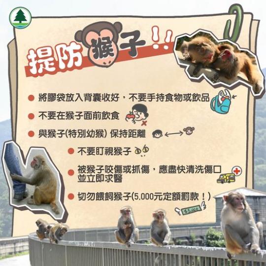 提防猴子提防猴子......