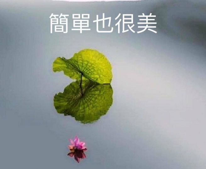 尋找世上最美的風景?
原來簡單也很美!...