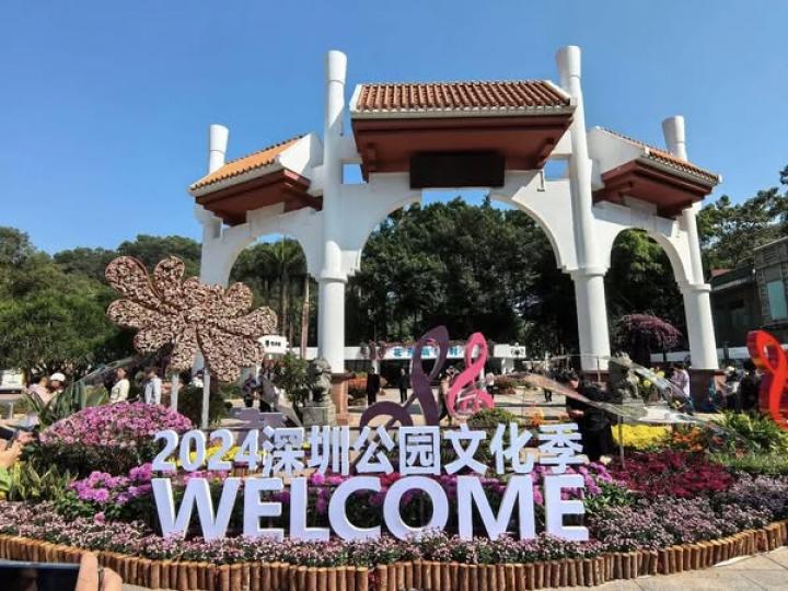 深圳菊花展..........