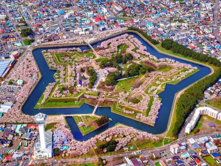 這個箱松花園獲得了米其林三星殊榮...