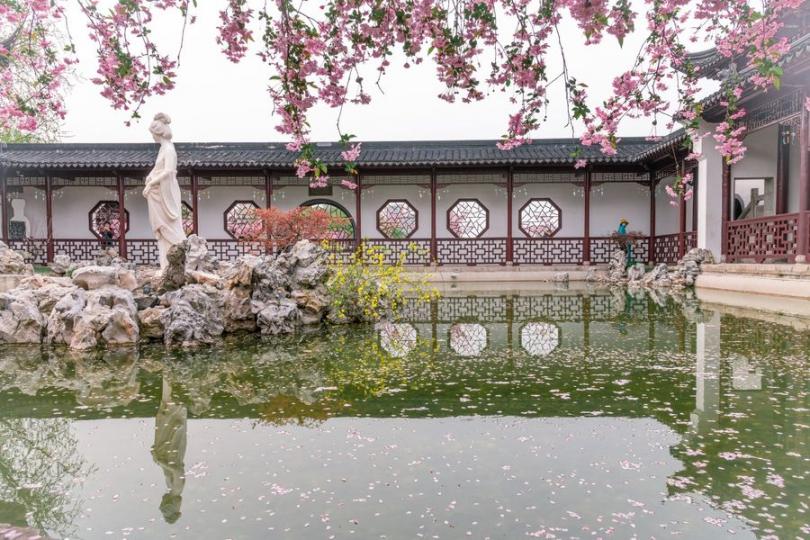 莫愁湖畔海棠花 黃穎／圖文...
