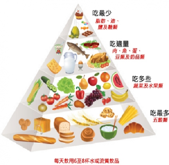 健康飲食身體好, 注意均衡不可少!...