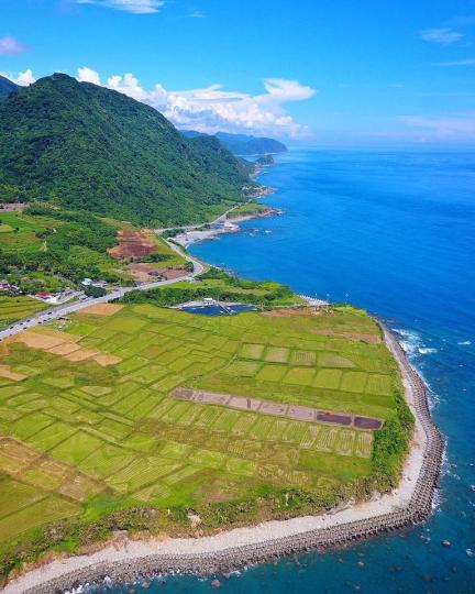 金黃色的海岸璀璨梯田...