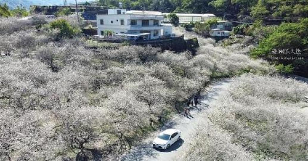 平地也能體會到下雪的浪漫...