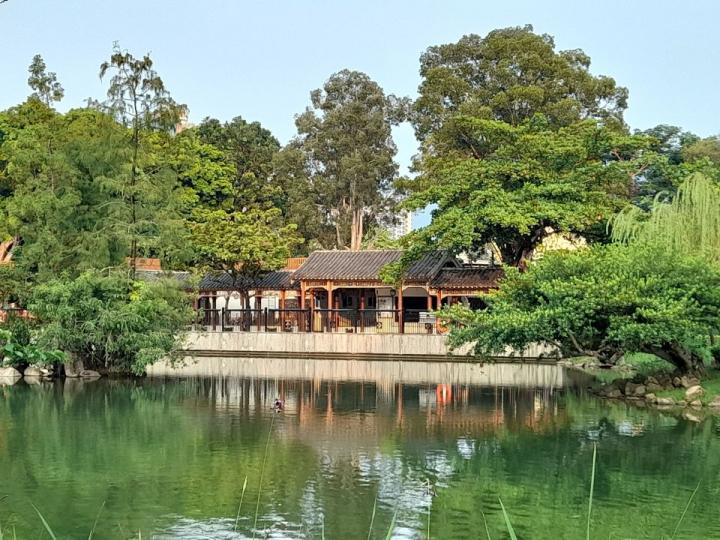 上水北區公園,花草令人心醉了....
