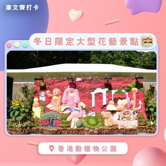 冬日限定大型花藝景點@香港動植物公園...