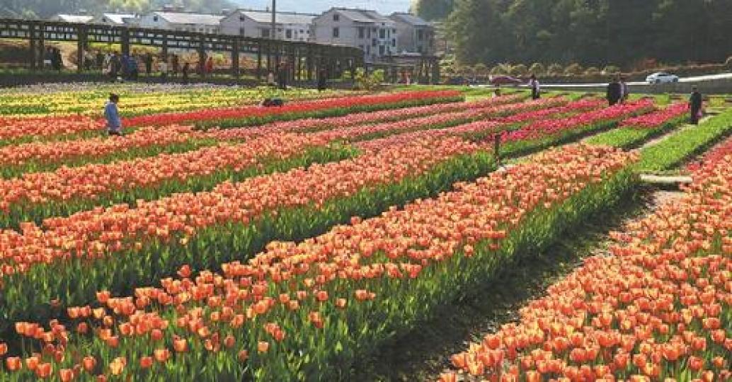 Wujiang village near Hangping township in Jinhua...