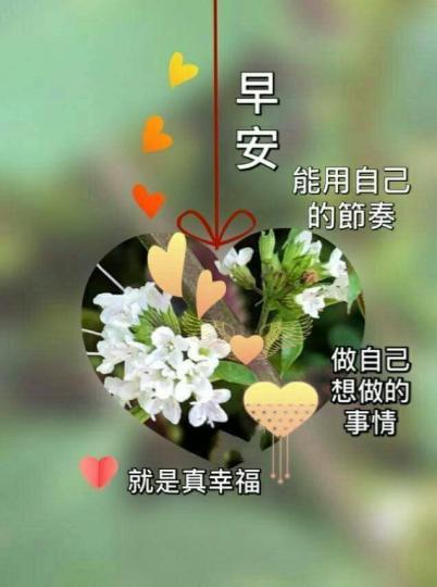 早安
祝願順心如意，
自得其樂！...