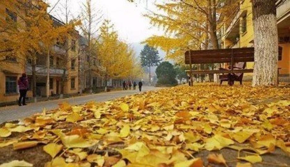 韶關南雄帽子峰森林公園...