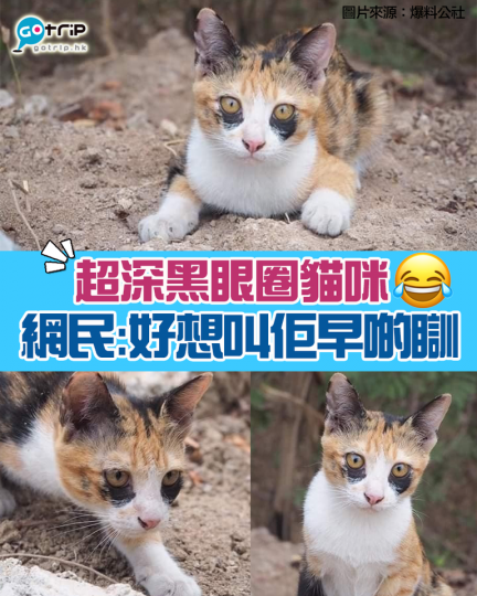 奴才睇到都覺得眼瞓......