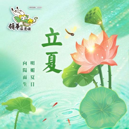 向陽而生，明媚夏日......