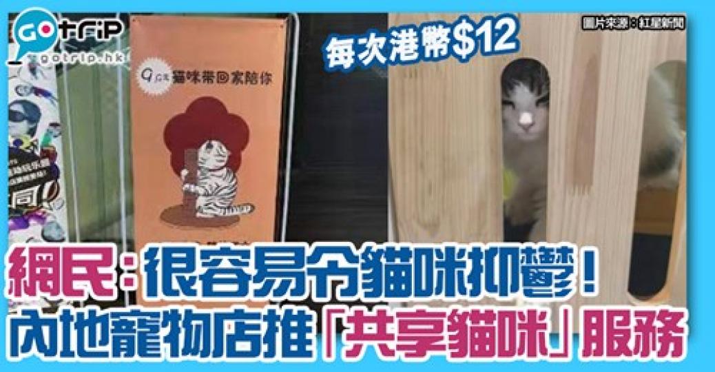 貓都有得出租........