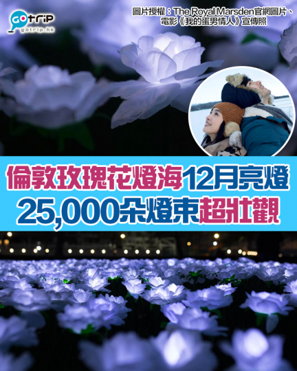 倫敦玫瑰花燈海會於12月亮燈...