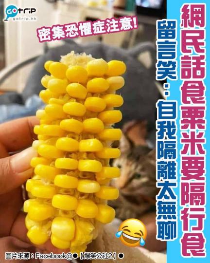 見到都真係笑出聲，感嘆有冇無聊到咁啊...