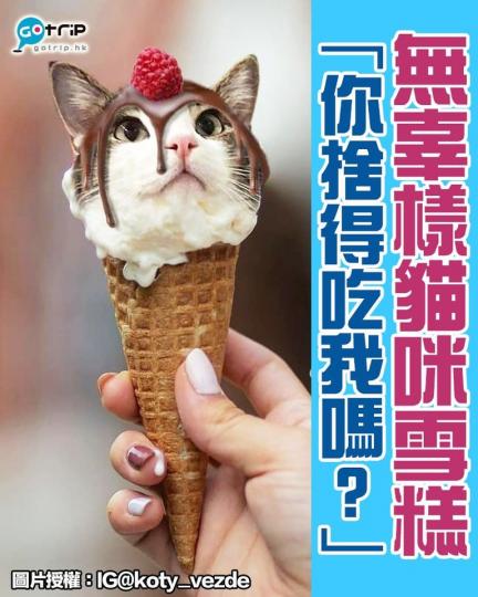 咁可愛嘅貓咪雪糕真係可以食...