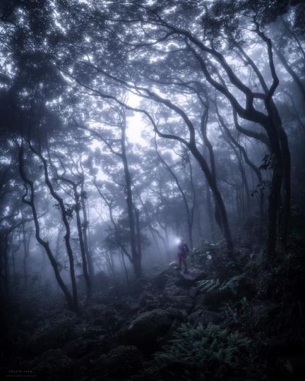 【大嶼山：霧鎖黃龍】 Kelvin Yuen／攝...