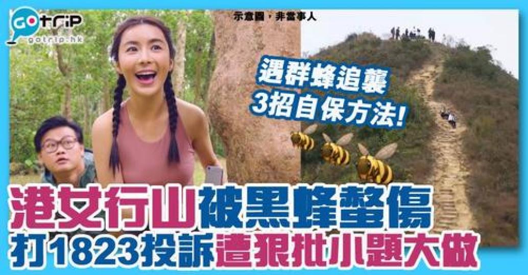 有位網民係網上「好心」提醒其他山友，分享自己早前行山被黑蜂蟄傷一事，結果引來大批網民炮轟...