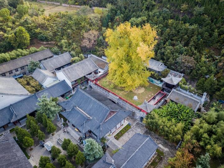【西安有座「網紅禪院」】...
