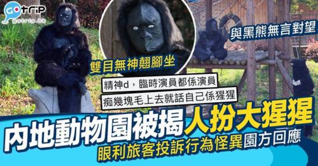 真係有人會喺動物園扮動物！...