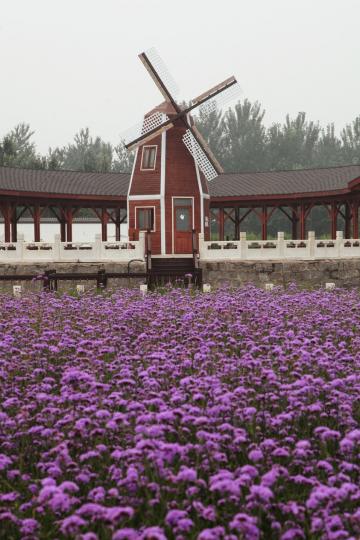 春光爛漫，真想來一場繽紛的賞花之旅...