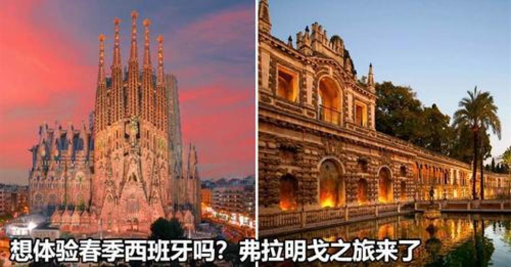 在「西班牙」的深夜酒館，遇見靈魂之舞「弗拉明戈」...