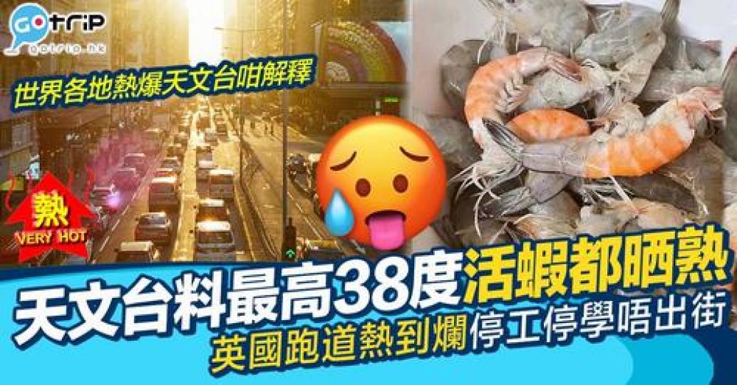 呢排唔止香港，歐洲好多地方都受熱浪衝擊...