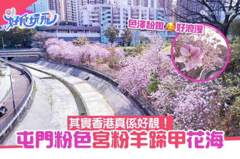 香港市區都有好多靚景...