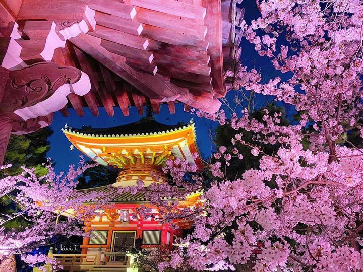 位於京都府京都市東山區.......