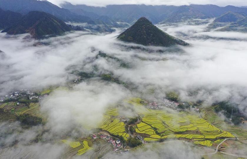 安徽旌德：梯田“種風景” 雨後惹人醉...